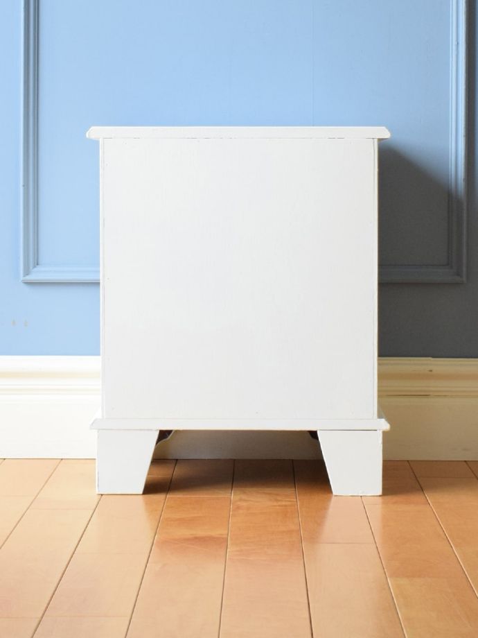 サイドチェストの後ろ姿