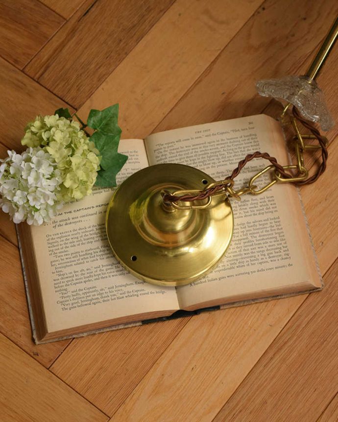 シャンデリア　照明・ライティング　厚みのあるガラスに存在感のあるオシャレなハンギングボウル。引っ掛け（ローゼットタイプ）です。(h-394-z)