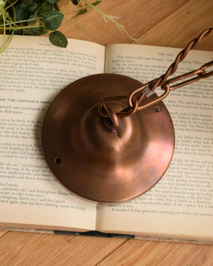 シャンデリア 照明・ライティング ガラスの葉からこぼれる明かりが美しいアンティークシャンデリア(ペンダントランプ)(E26球付)。カバーも付いています。(h-397-z)