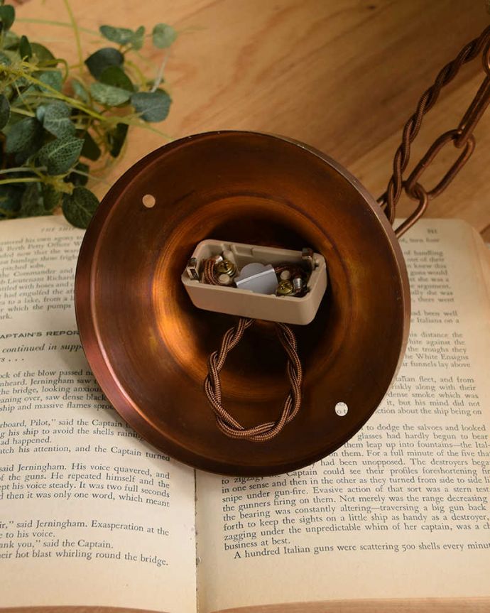 シャンデリア 照明・ライティング ガラスの葉からこぼれる明かりが美しいアンティークシャンデリア(ペンダントランプ)(E26球付)。引っ掛け(ローゼットタイプ)です。(h-397-z)