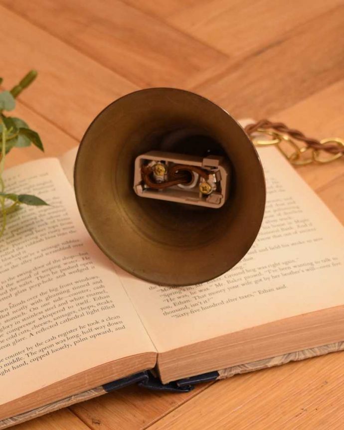 シャンデリア　照明・ライティング　フランスから到着した優雅な美しいアンティークシャンデリア(1灯)(E26球付)。引っ掛けタイプです自分でも取り付け出来る引っ掛けシーリング仕様で加工してあります。(h-745-z)