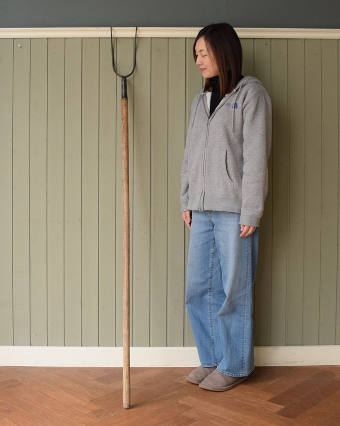 ヨーロッパの伝統的農具