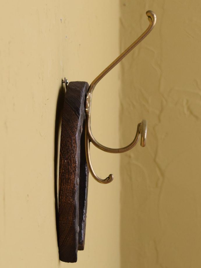 ウォールフックの側面