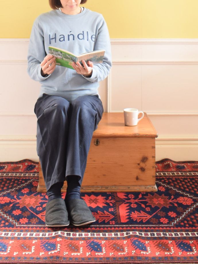 おしゃれな収納家具のコファ