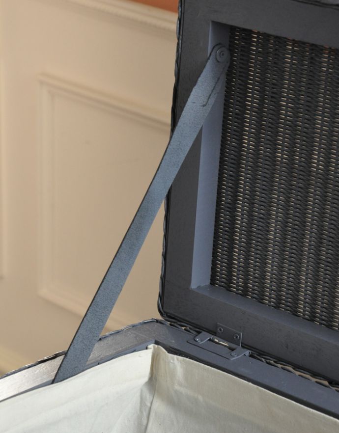 ロイドルームボックスのフタ