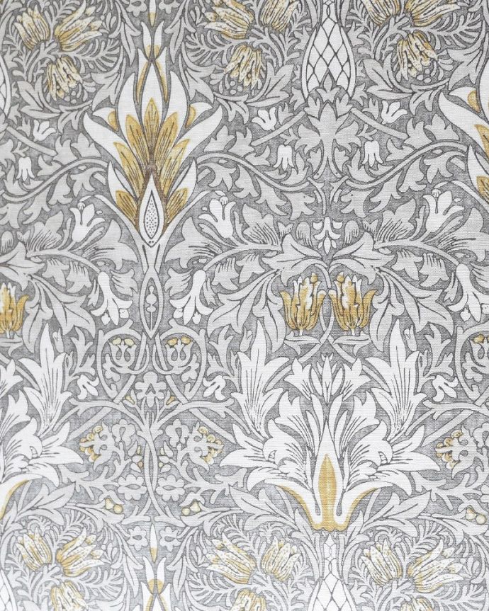 スネークヘッド