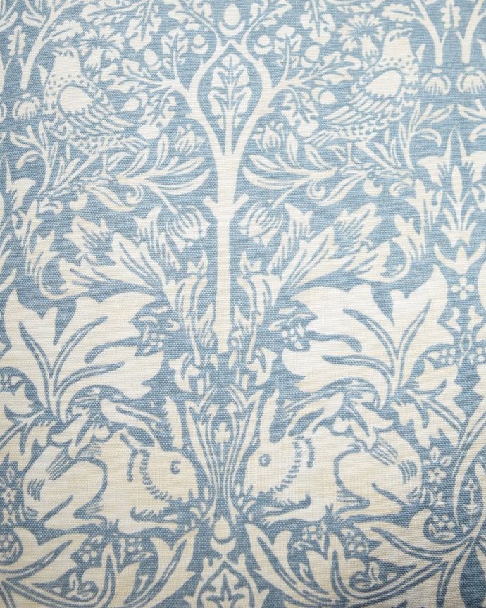 ブレアラビット