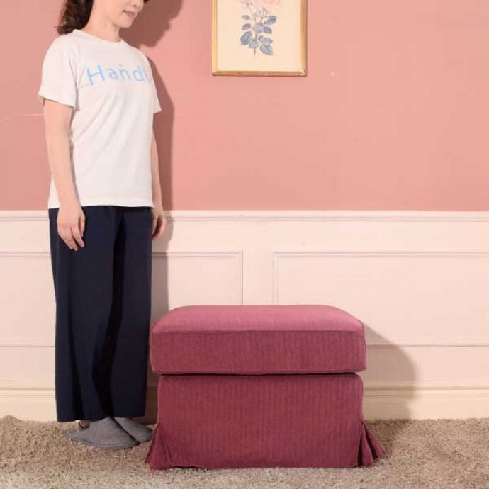 ペット用のおしゃれなオットマン