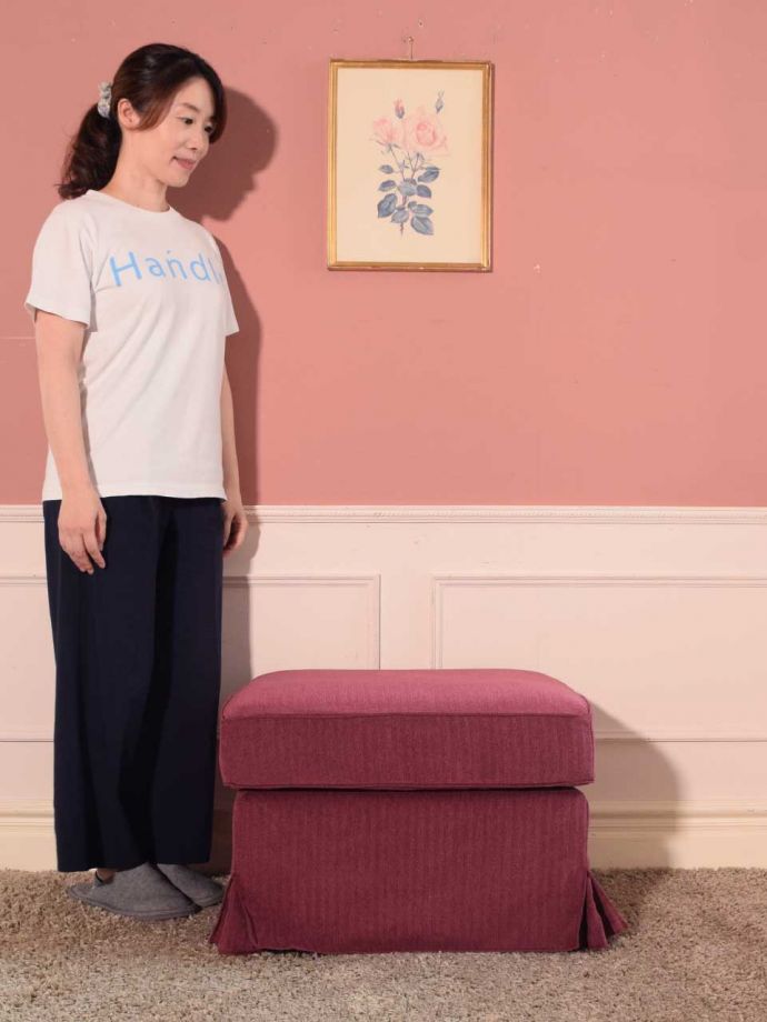 ペットのいるお家におススメのオットマン
