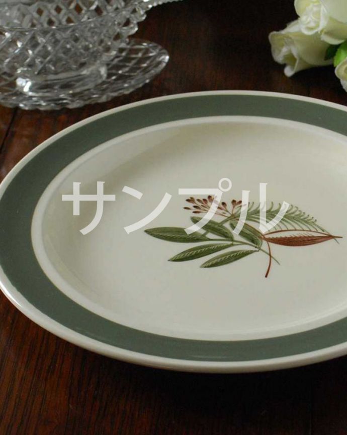 スージークーパーのアンティーク陶磁器