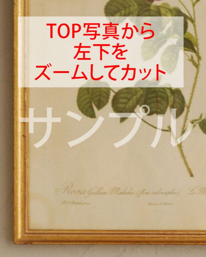 アンティーク その他の雑貨　アンティーク雑貨　アンティーク　シガレットカード。アンティークだけが持つ風合いアンティークなので、多少のキズ、汚れはあります。(k-3583-z)