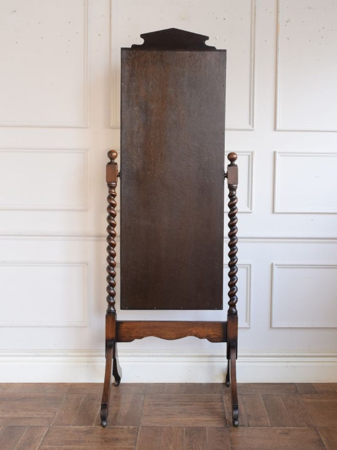 シュバルミラーの後ろ姿