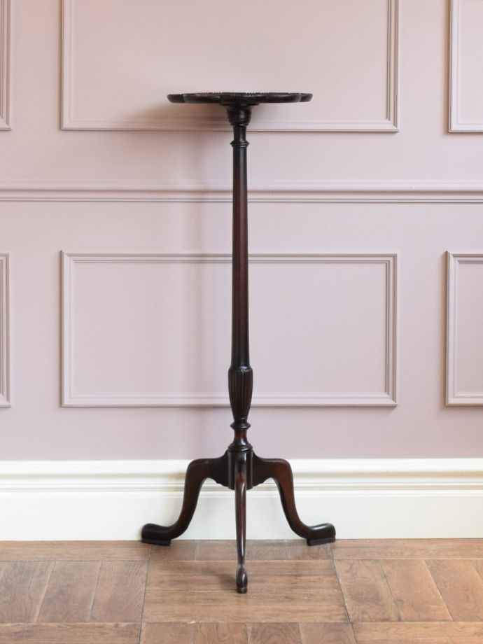 プランツスタンドの側面