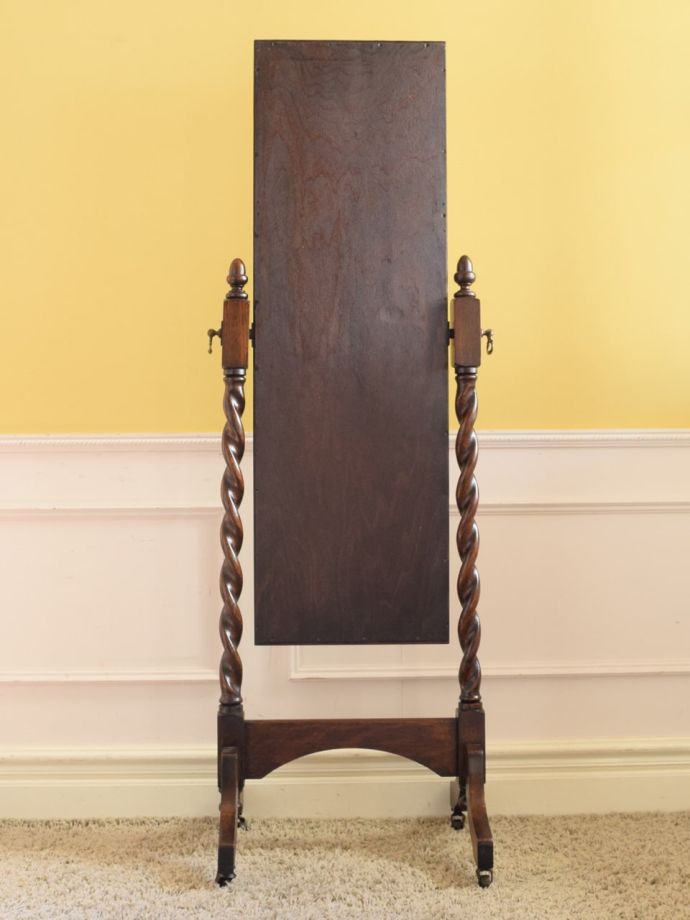 シュバルミラーの後ろ姿