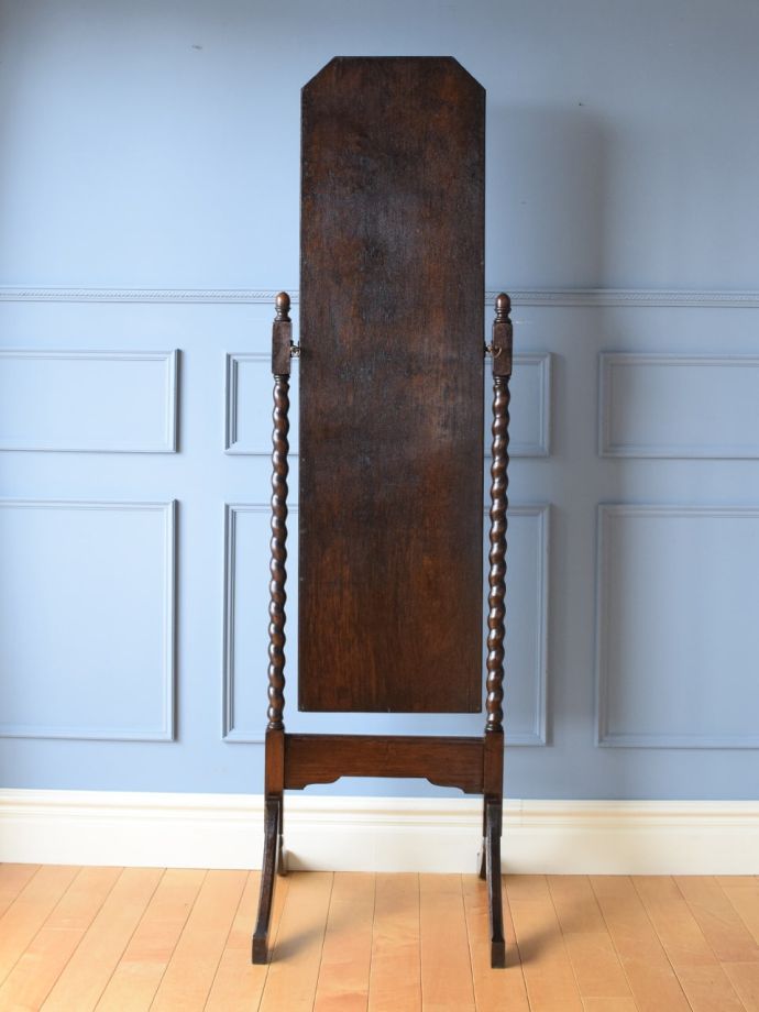 シュバルミラーの後ろ姿