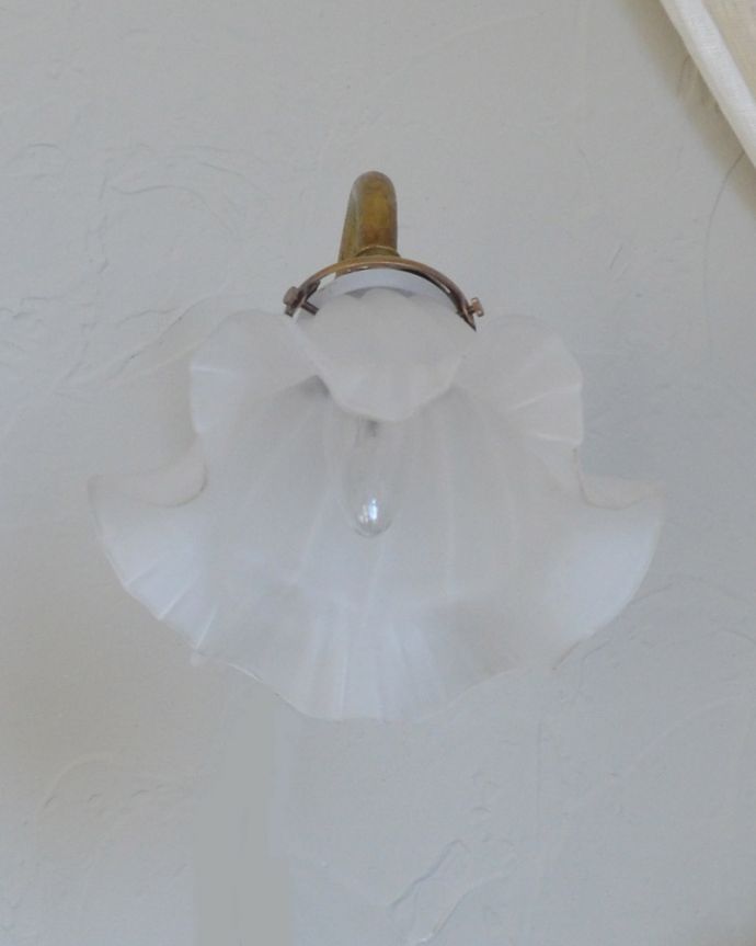 壁付けブラケット　照明・ライティング　植物をモチーフにした美しいフランスのアンティークウォールブラケット（Ｅ17シャンデリア球・ギャラリーA付き）。似会うシェードをセレクトアンティークの土台に似合うよう新品のシェードを選びました。(j-134-z)