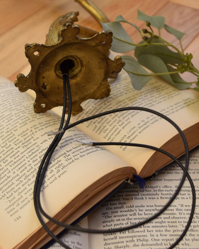 壁付けブラケット　照明・ライティング　植物をモチーフにした美しいフランスのアンティークウォールブラケット（Ｅ17シャンデリア球・ギャラリーA付き）。直結タイプでお届けします日本仕様で配線しました。(j-134-z)