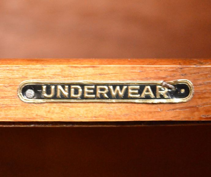 アンティークのキャビネット アンティーク家具 お洒落のための英国のアンティーク家具、どこにでも置けるスモールローブ。こちらには「下着」です。(j-1593-f)