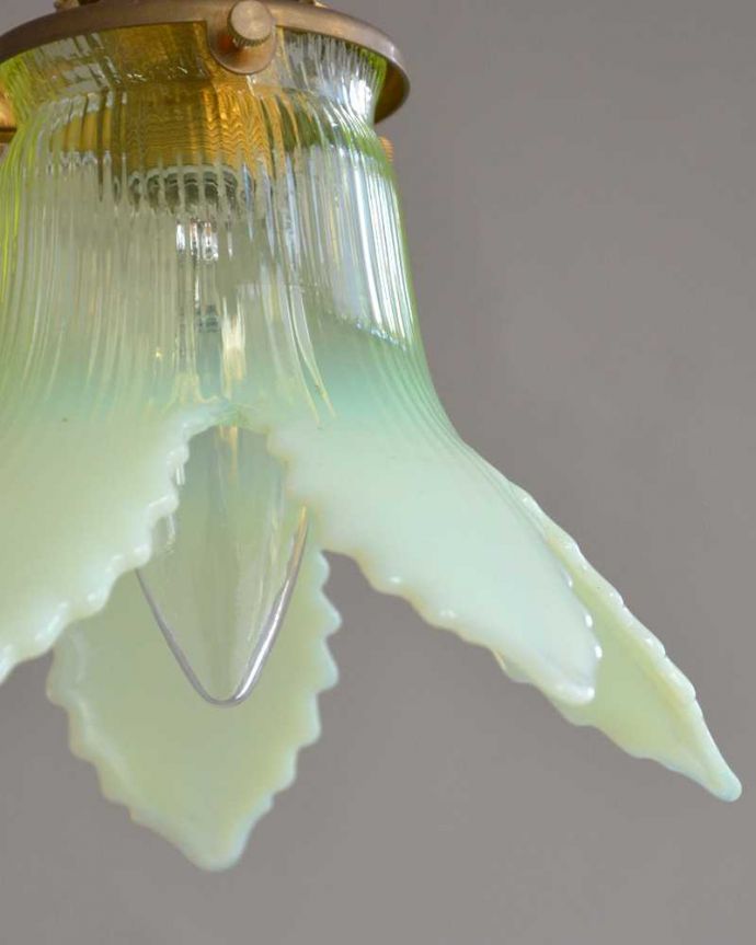 ペンダントライト　照明・ライティング　グリーンのヴァセリンが美しい、アンティークシェードペンダントライト（コード・シャンデリア電球・ギャラリーA付き）。。(j-164-z)