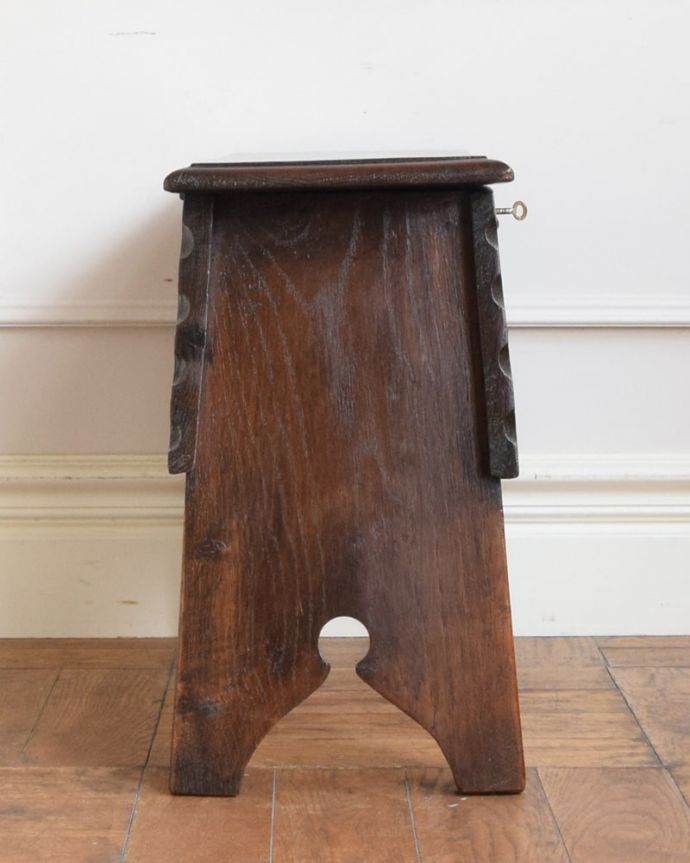 ブランケットボックス・収納ボックス　アンティーク家具　コファー　横から見てもキレイですもちろん、横顔だってキレイ！どこから見ても絵になります。(j-2725-f)