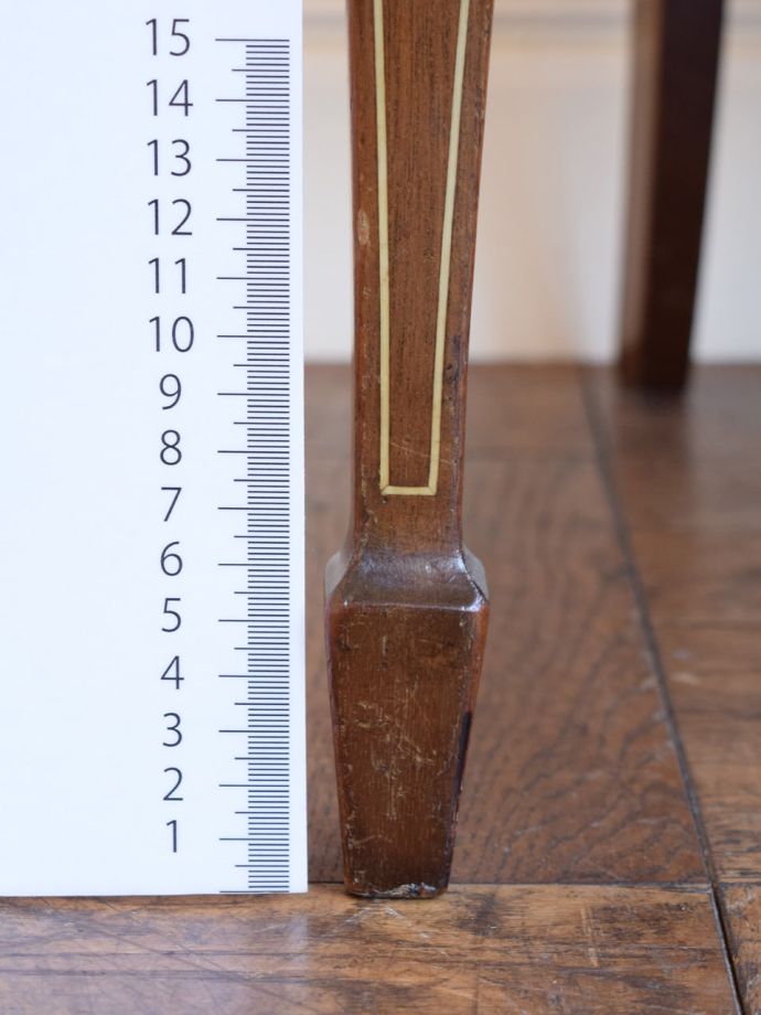 お好みの高さでカット出来ます