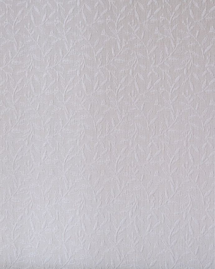 ショーケースの生地