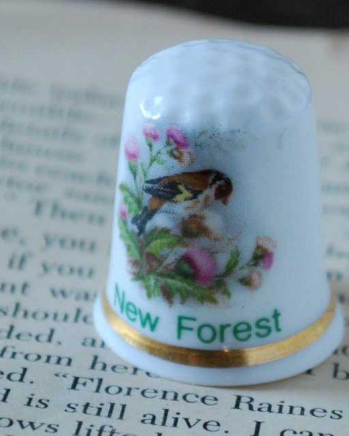 アンティーク 陶磁器の雑貨　アンティーク雑貨　ニュー・フォレストのアンティークシンブル（あざみのお花と小鳥）。幸運を呼ぶ女性のためのコレクションアイテムシンブルとは、上流階級の女性がたしなみとして行ったお裁縫の時に使った指ぬきのこと。(k-3857-z)