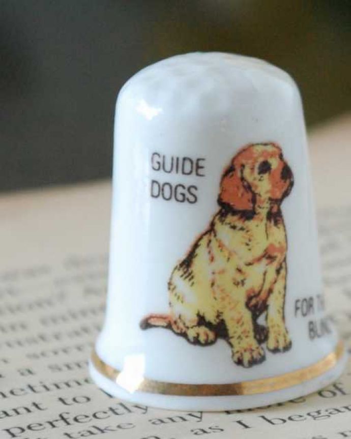 アンティーク 陶磁器の雑貨 アンティーク雑貨 ラブラドールレトリバーのアンティークシンブル(GUIDE DOGS)。幸運を呼ぶ女性のためのコレクションアイテムシンブルとは、上流階級の女性がたしなみとして行ったお裁縫の時に使った指ぬきのこと。(k-3864-z)