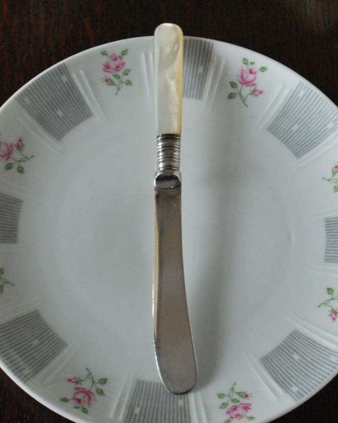 上から見るとこんな形です