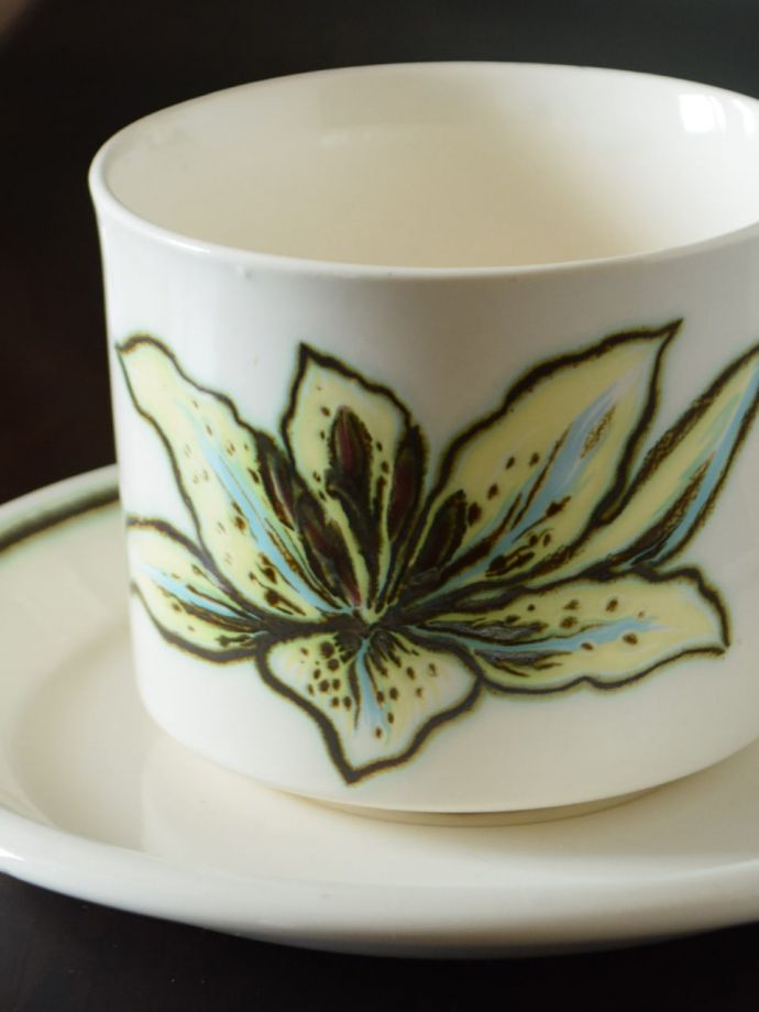 ロイヤルウースター(PALISSY)のカップ&ソーサー