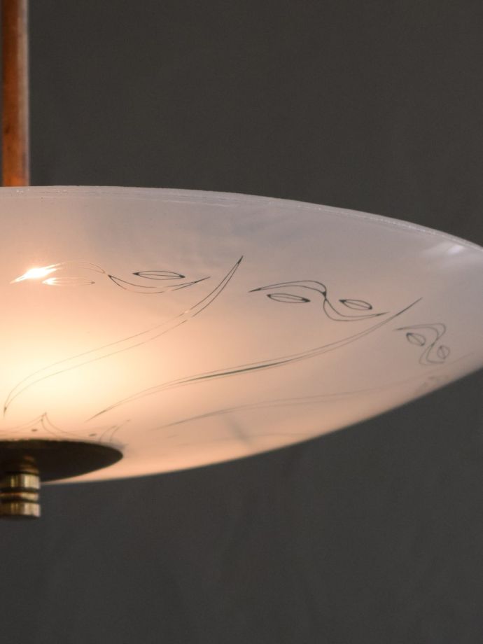 ハンギングボウルのシェード