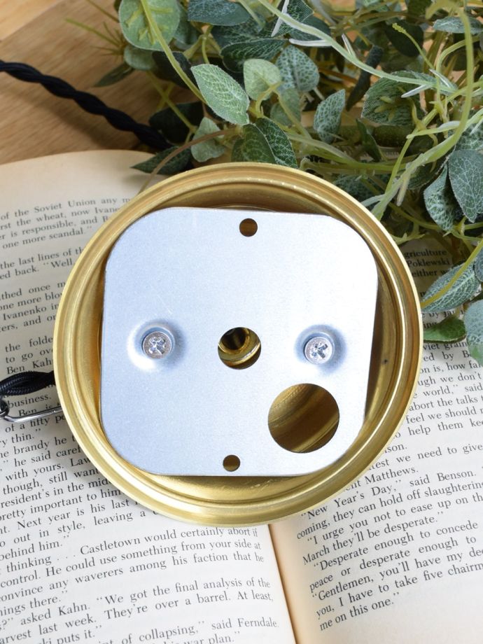 直結タイプでお届けします