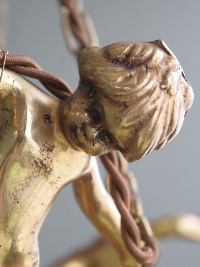 可愛らしいエンジェルの顔