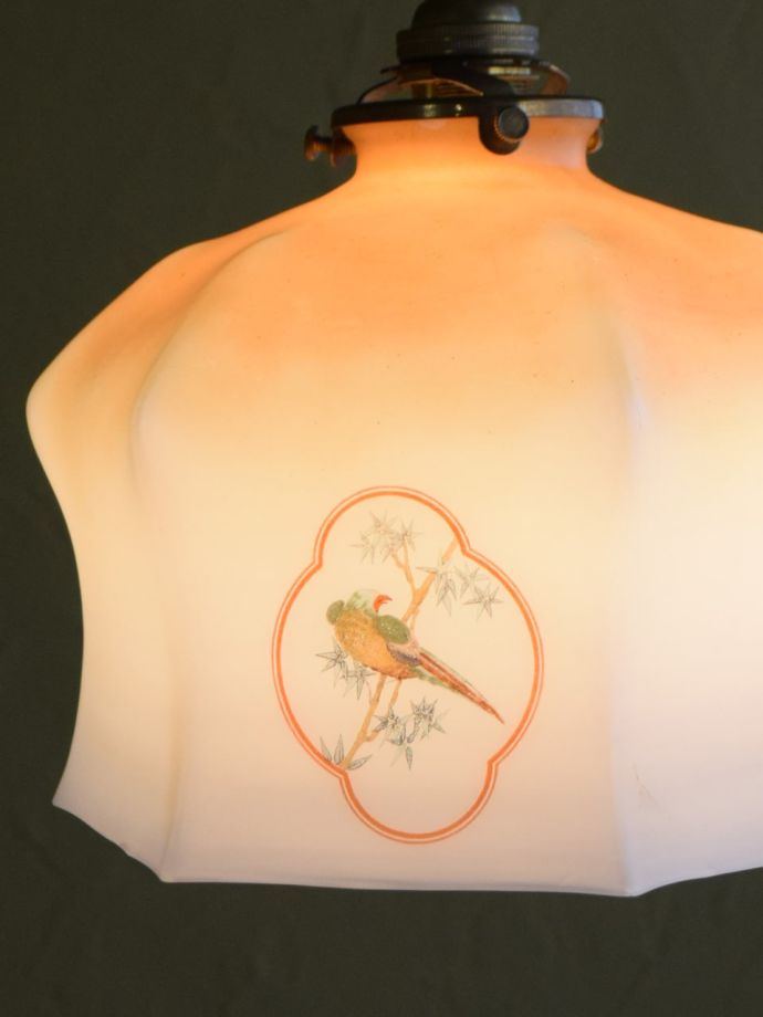 ペンダントライトのシェード