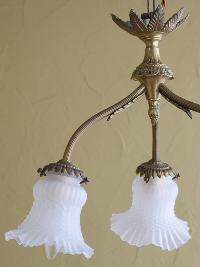 ガラスシェード付きのシャンデリア