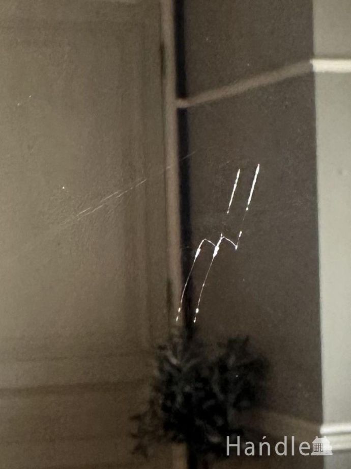 アンティークのおしゃれなミラー、イギリスで見つけた縁取りが輝く壁