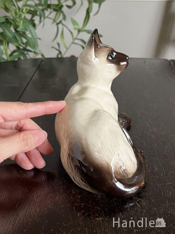 大きさはこれくらいです