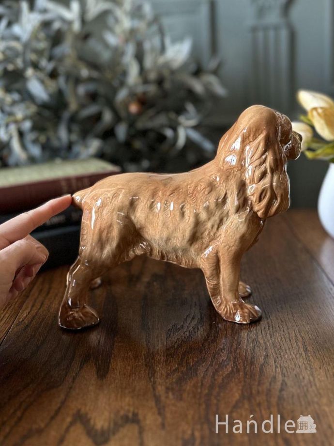 大きさはこれくらいです