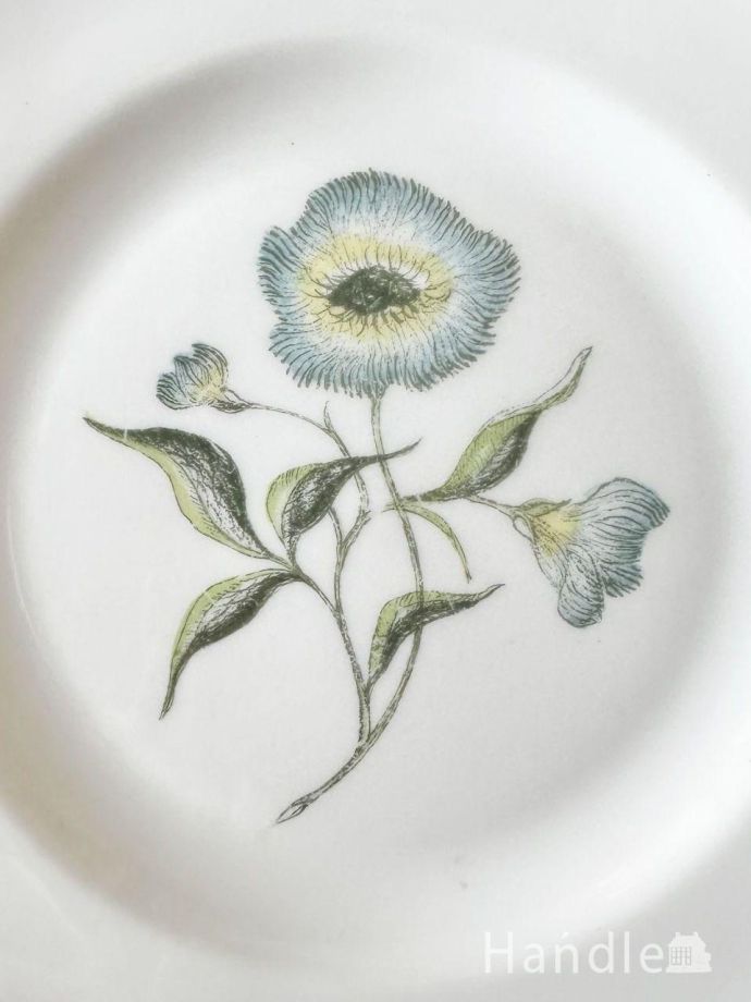 スージークーパーのアンティーク陶磁器