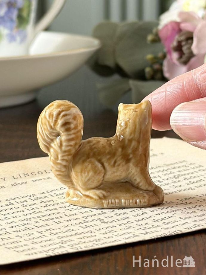 大きさはこれくらいです