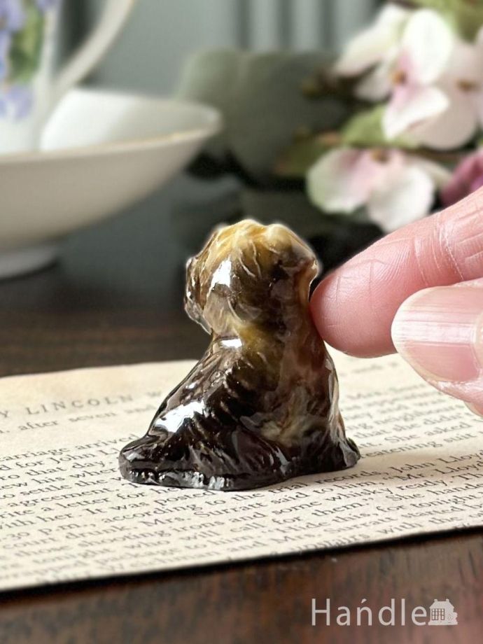 大きさはこれくらいです