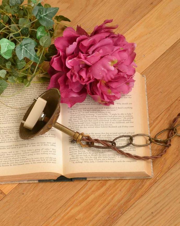 シャンデリア　照明・ライティング　ブロンズ＆ガラスのフランスアンティーク1灯シャンデリア。。(m-2001-z)