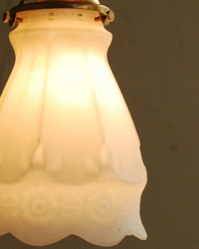 ペンダントライト　照明・ライティング　お花の輪が浮き出すアンティークペンダントライト（コード・シャンデリア電球・ギャラリーA付き）。。(m-2017-z)