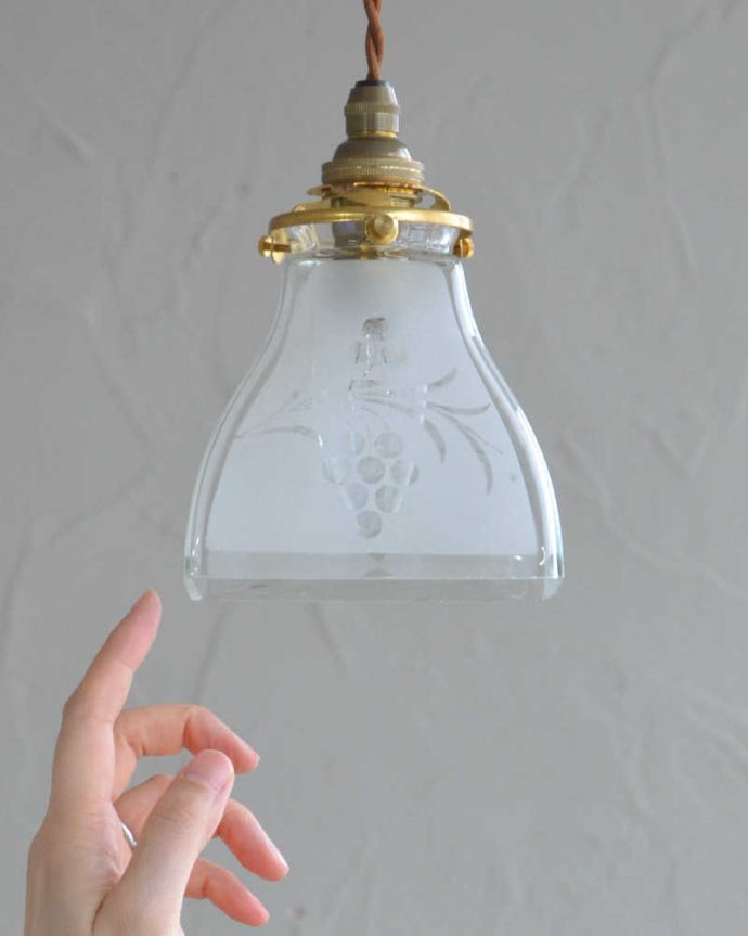 ペンダントライト　照明・ライティング　ブドウの模様、アンティークシェードペンダントライト（コード・シャンデリア電球・ギャラリーA付き）。。(m-2022-z)