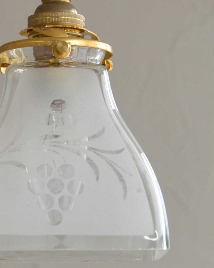 ペンダントライト　照明・ライティング　ブドウの模様、アンティークシェードペンダントライト（コード・シャンデリア電球・ギャラリーA付き）。。(m-2022-z)