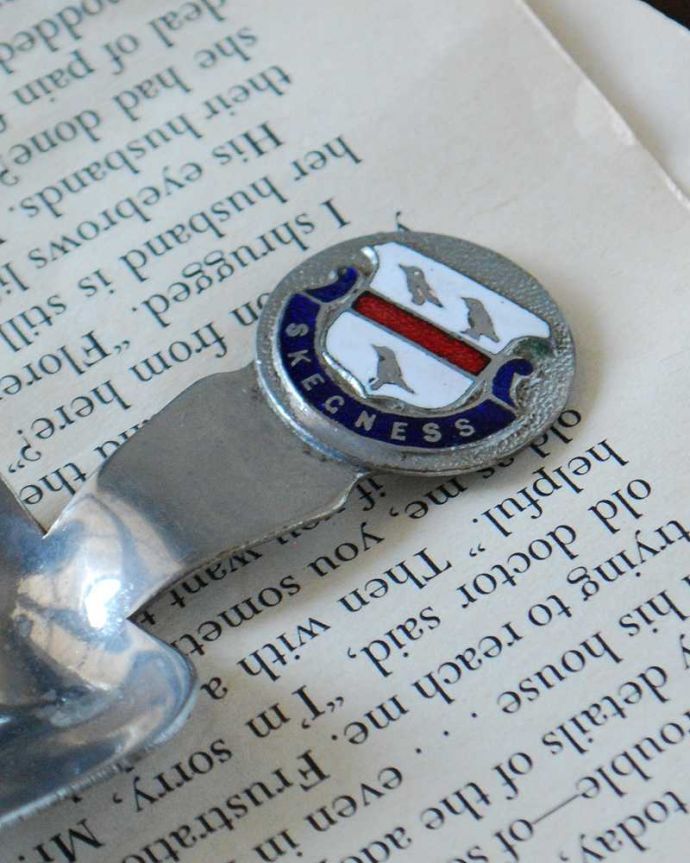 アンティーク シルバー製　アンティーク雑貨　英国輸入のアンティークキャディスプーン（SKEGNESS)。実際に使えるキャディスプーン色々なモチーフの持ち手のデザインがあります。(m-2105-z)