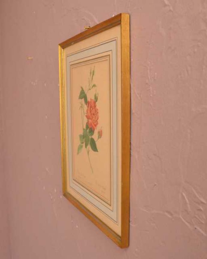 アンティーク その他の雑貨　アンティーク雑貨　アンティーク薔薇フレーム、ルドゥーテ「ロサ・インディカ・クルエンタ」。横から見ると…こんな感じです。(m-3510-z)