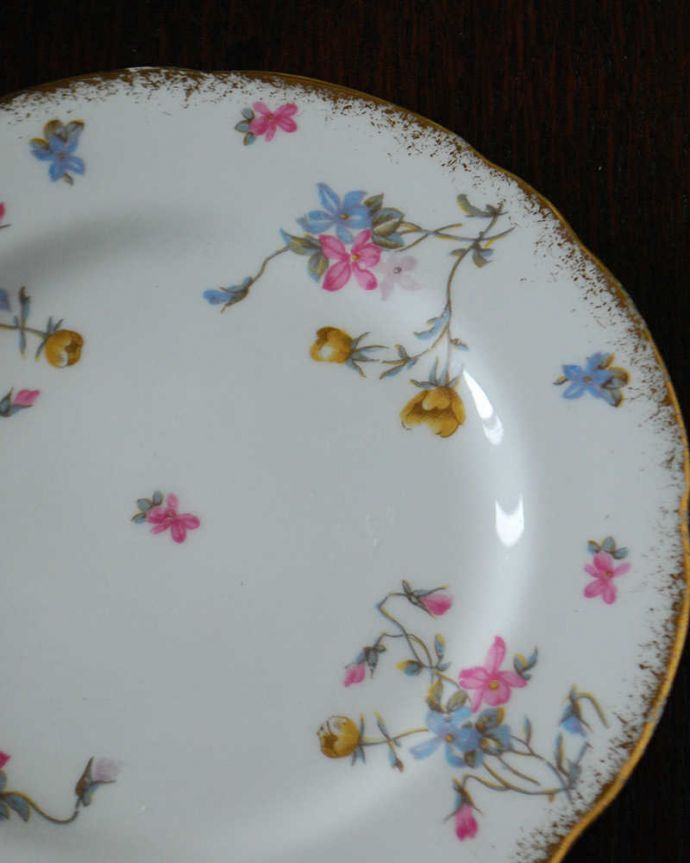 アンティーク 陶磁器の雑貨　アンティーク雑貨　ロイヤルスタッフォードのアンティークプレート( VIOLETS・POMPADOUR)。一番使いやすいサイズのパンプレート食事の時、パンを乗せるために使われるプレートは、一番使いやすく実用的な大きさ。(m-3591-z)