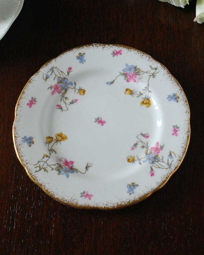 アンティーク 陶磁器の雑貨　アンティーク雑貨　ロイヤルスタッフォードのアンティークプレート( VIOLETS・POMPADOUR)。上から見るとこんな感じです状態のいいものだけを選んでいますが、アンティークなのでキズや欠けがある場合があります。(m-3591-z)