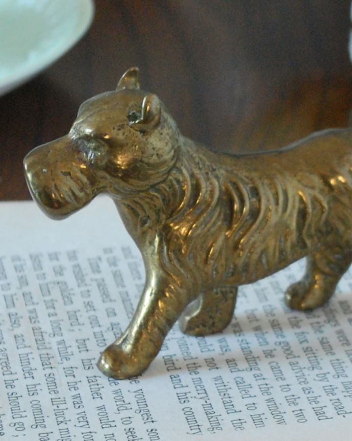 アンティーク 真鍮の雑貨　アンティーク雑貨　英国からのアンティークの真鍮オブジェ、シュナウザー（ブラスドック）。落ち着いた輝きが大人の雰囲気真鍮製なので、使っていくごとに味わい深い色合いに変化していきます。(m-3955-z)